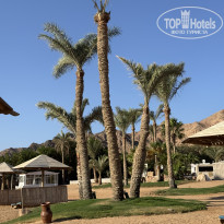 фото из отзыва ID 2730647