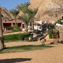 фото из отзыва ID 2730647