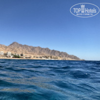 фото из отзыва ID 2730647