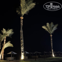 фото из отзыва ID 2730647