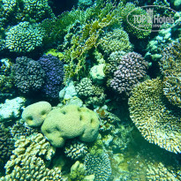 фото из отзыва ID 2730647