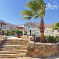 фото из отзыва ID 2730647