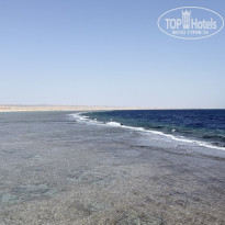 фото из отзыва ID 2730672