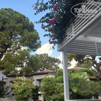 фото из отзыва ID 2730697