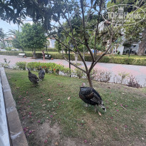 фото из отзыва ID 2730697