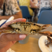 фото из отзыва ID 2730697