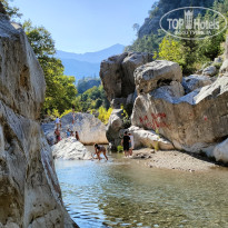 фото из отзыва ID 2730709