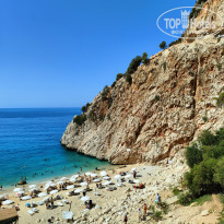 фото из отзыва ID 2730709