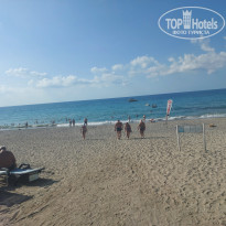 фото из отзыва ID 2730734