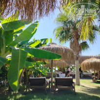 фото из отзыва ID 2730739