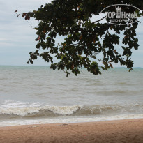 фото из отзыва ID 2730764