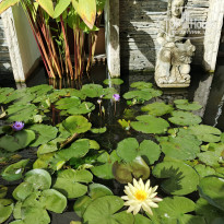 фото из отзыва ID 2730764