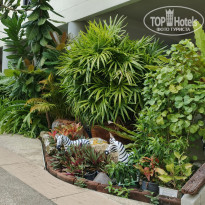 фото из отзыва ID 2730764