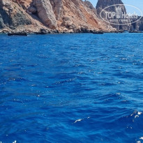 фото из отзыва ID 2730794