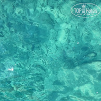 фото из отзыва ID 2730794