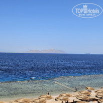 фото из отзыва ID 2730797