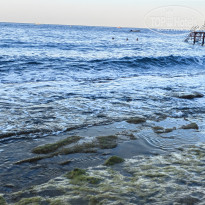 фото из отзыва ID 2730804