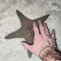 фото из отзыва ID 2730829