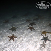 фото из отзыва ID 2730829