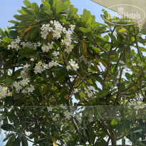 фото из отзыва ID 2730842