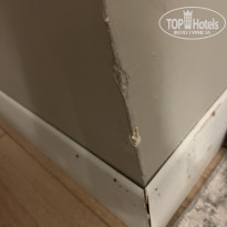 фото из отзыва ID 2730849