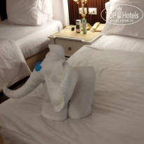 фото из отзыва ID 2730805