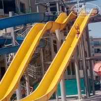 фото из отзыва ID 2730805