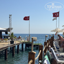 фото из отзыва ID 2730865