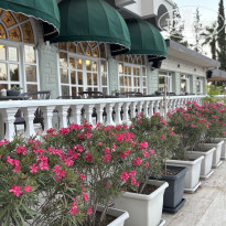 фото из отзыва ID 2730865