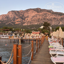 фото из отзыва ID 2730865