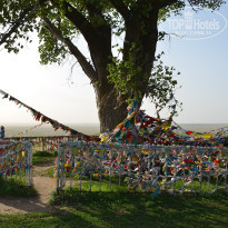 фото из отзыва ID 2730583