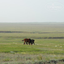 фото из отзыва ID 2730583