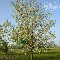 фото из отзыва ID 2730583