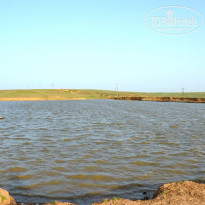 фото из отзыва ID 2730583