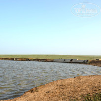 фото из отзыва ID 2730583