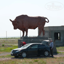 фото из отзыва ID 2730583