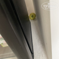 фото из отзыва ID 2730895