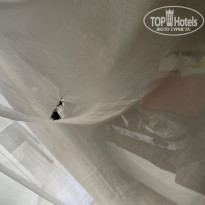 фото из отзыва ID 2730895