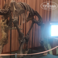 фото из отзыва ID 2730894