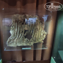 фото из отзыва ID 2730894