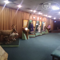 фото из отзыва ID 2730894