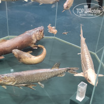 фото из отзыва ID 2730894