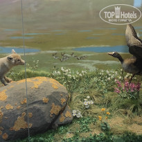 фото из отзыва ID 2730894