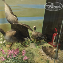 фото из отзыва ID 2730894