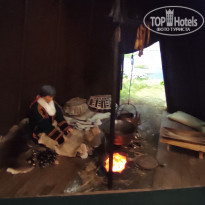 фото из отзыва ID 2730894