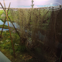 фото из отзыва ID 2730894