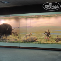 фото из отзыва ID 2730894