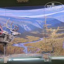 фото из отзыва ID 2730894