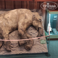 фото из отзыва ID 2730894