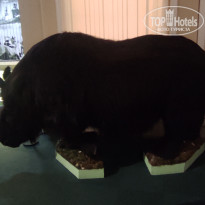 фото из отзыва ID 2730894